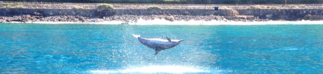 kk_0422's header image