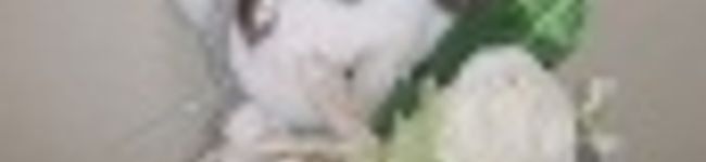 なる猫's header image