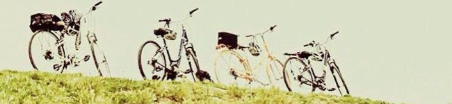 Koyukiki's header image