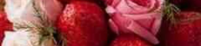 ma2ma28's header image
