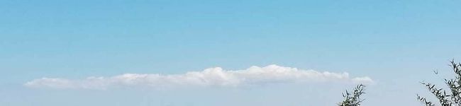 しばかじゅ's header image