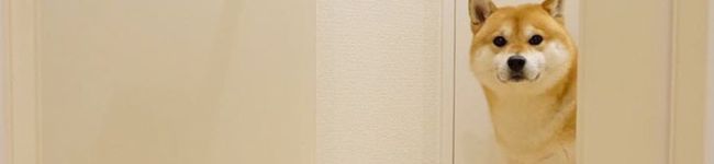 ★yuccco★'s header image