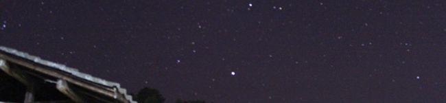 のろのろ☆☆☆'s header image