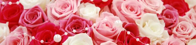 yuimin。's header image