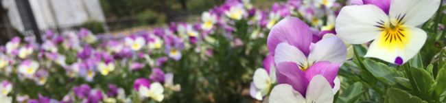 wkmmm26's header image