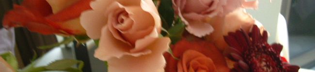 vermillion's header image