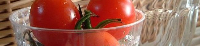 vvvHANAvvv's header image