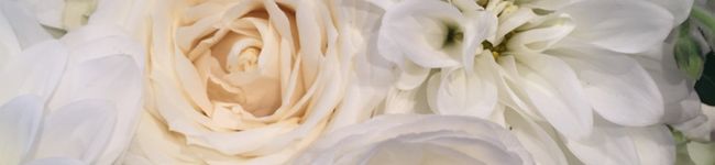 chiyo7051's header image