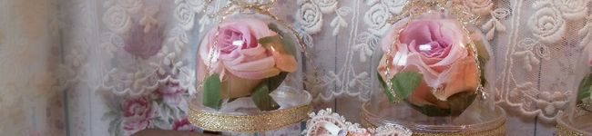 t・rose's header image
