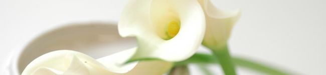 *tukimi*'s header image