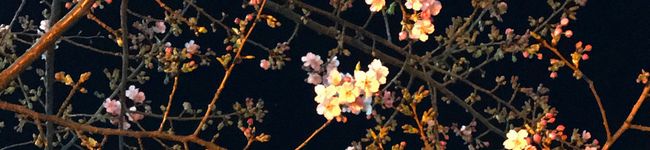 あべりー0520's header image