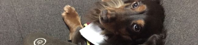 クックRP31Q1☆'s header image
