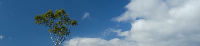 mmyt's header image