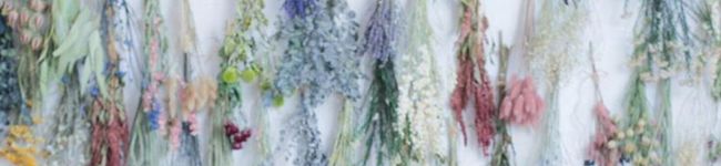 気まぐれ頑張り隊's header image