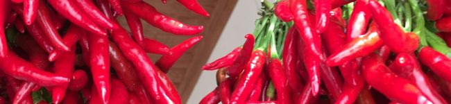 hidenachii's header image