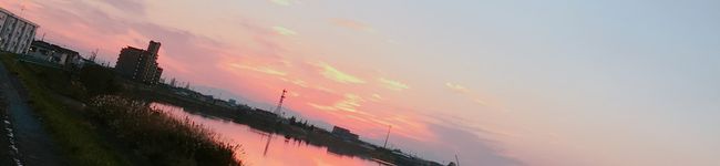 ・向日葵❁'s header image
