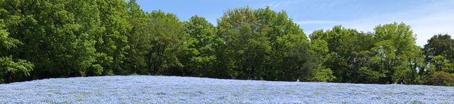 akinoko83's header image