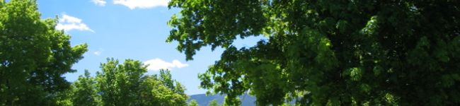 Maymisa's header image
