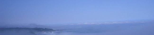 conn's header image
