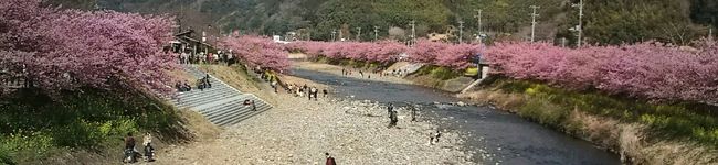 松が丘's header image