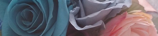mid_verd's header image