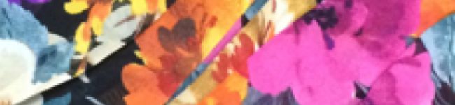 QueenPrincess's header image