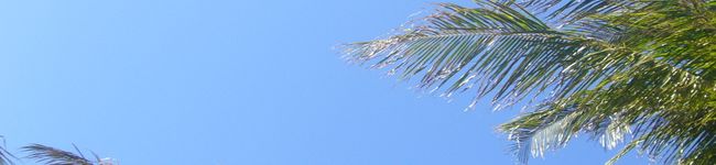 スズセイ's header image