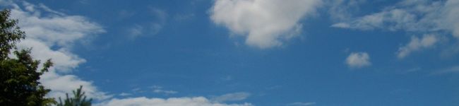 kazu495's header image