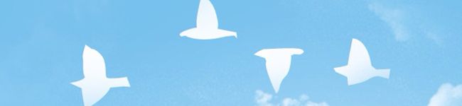 ＊comugi＊'s header image