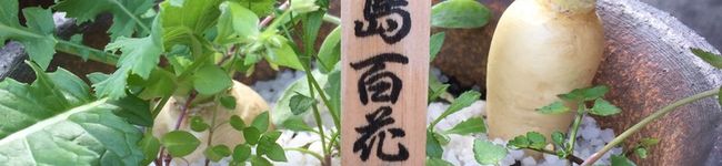 モッサリ〜ヌ's header image