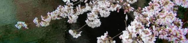megumix's header image