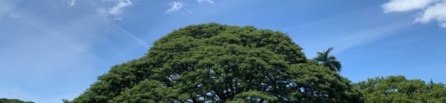クックミク's header image