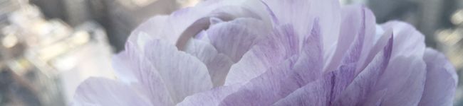 cocookstd's header image