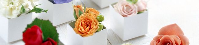 Mrsbay's header image