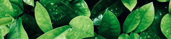 MTIMSNO's header image