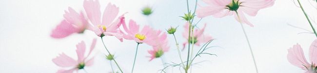 miiinori✩'s header image
