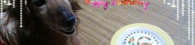 ちぇりどん's header image