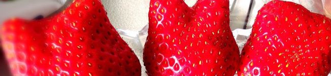 ☺︎ふなきくち☺︎'s header image