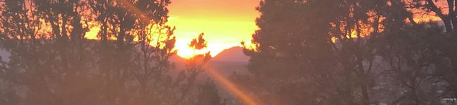 muckymuchy's header image