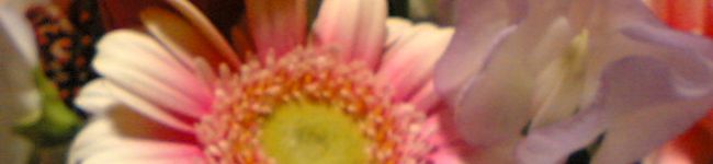 大吉ＭＡＸ's header image