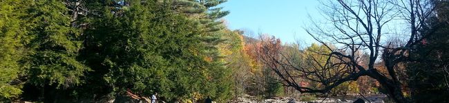 Katellyn's header image