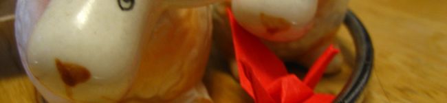 haruta1028's header image