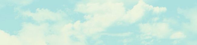 kinoko0724's header image