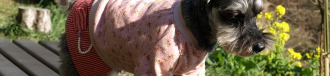 7a7aちゃん's header image