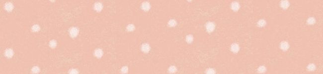 ＊Miminyan＊'s header image