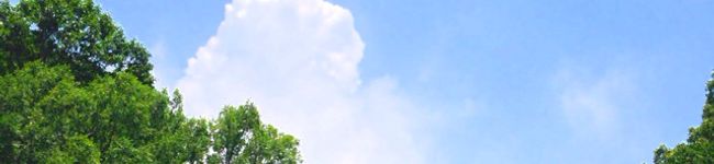 nami☆♪'s header image