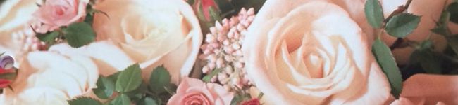 ☆アリスローズ☆'s header image