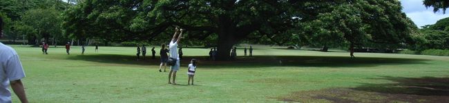 はもはも's header image