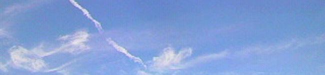 はな２ちゃん's header image