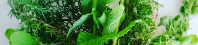 Liccostyle's header image